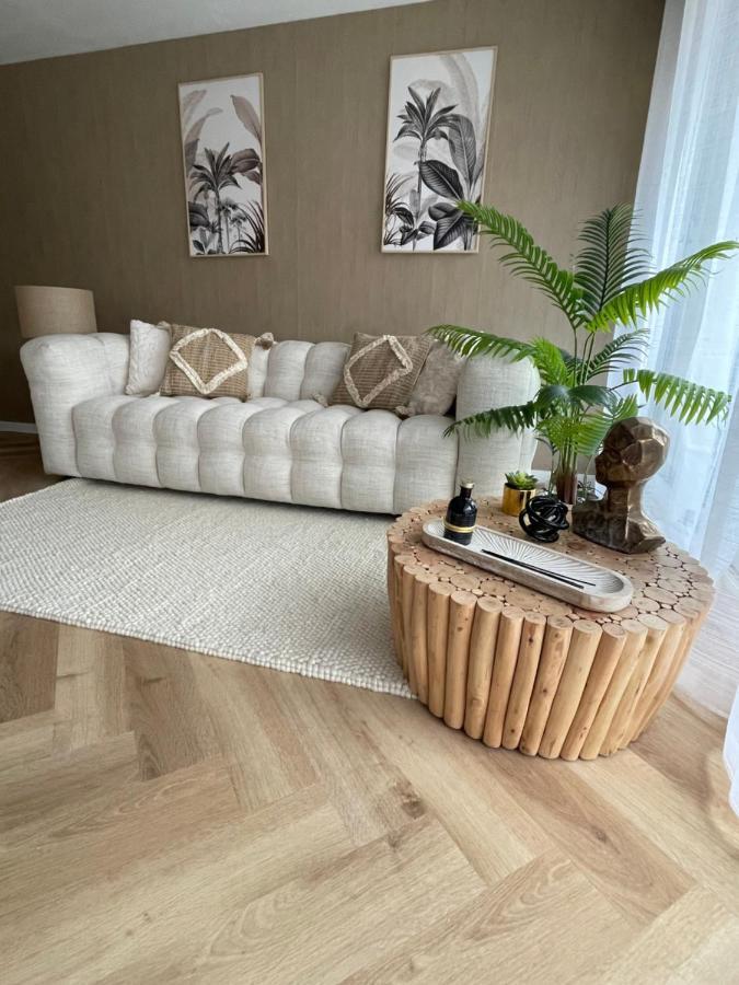 New Cosy Flat Saint Tropez Lejlighed Eksteriør billede